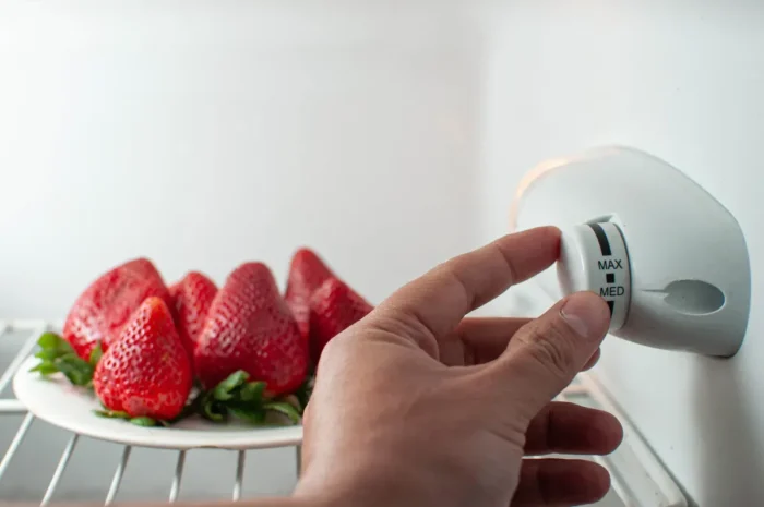 Température idéale du frigo confirmée : le réglage qui réduit de moitié votre facture en pleine canicule