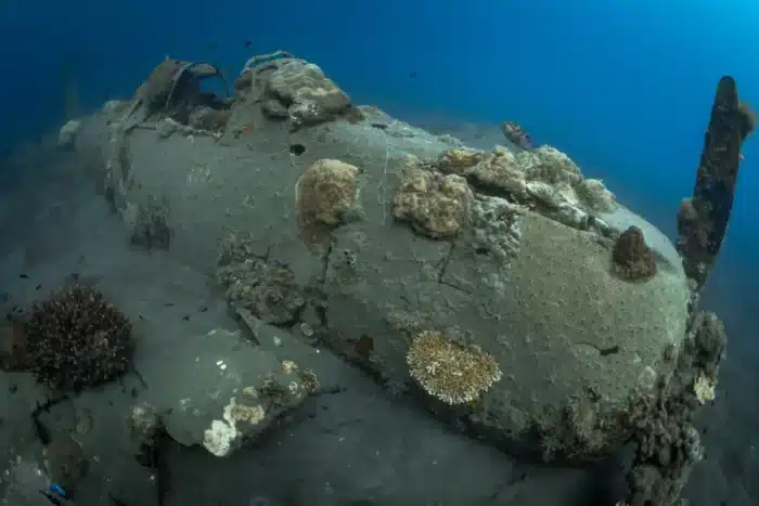 Un sous-marin découvre 200 000 fûts de déchets radioactifs enfouis depuis des décennies en explorant un site reculé de l'Atlantique