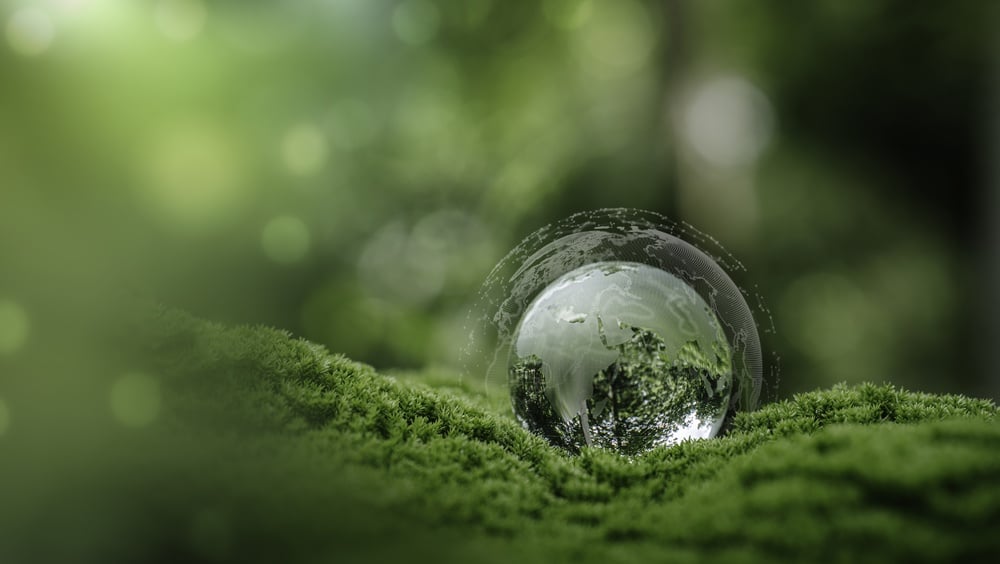 Transition énergétique : la France mise-t-elle encore sur le tout électrique ?