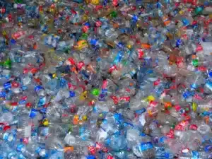 Cet entrepreneur mexicain fond du plastique recyclé pour construire des maisons : en trois ans, 500 chambres livrées et 300 maisons en commande
