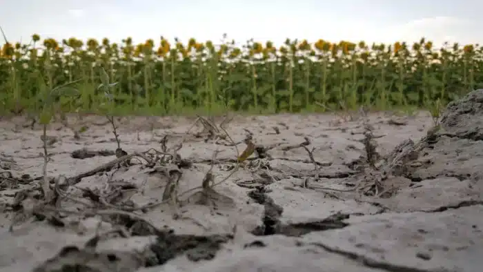 Encore une canicule ? La chaleur est de retour en France dès la semaine prochaine