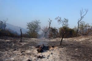 megafeu-incendie-pompiers-enfin-gironde