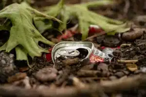 Deux randonneurs trouvent une canette rouillée dans la forêt, renfermant près de 600 pièces d’or estimées à 330 000 $