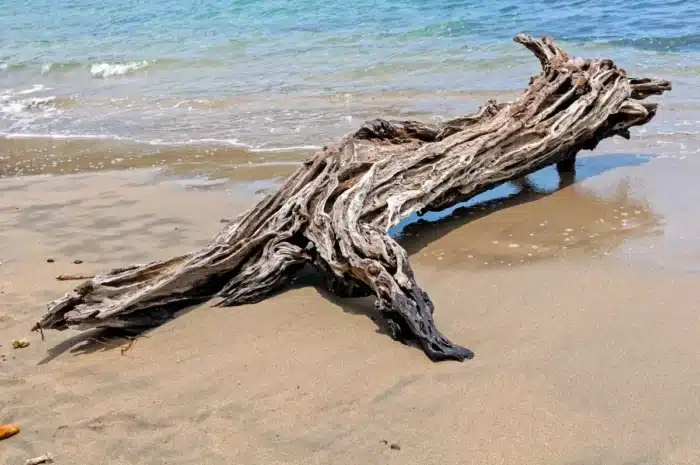 « Je pensais faire des économies avec le bois flotté » : quand elle a gratté la paroi de son foyer, elle a découvert ce que le sel marin fait vraiment à la fonte
