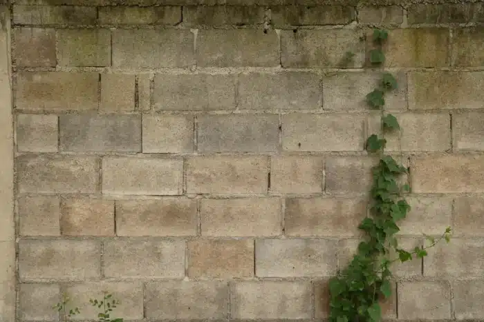 Les maçons n'en peuvent plus de le répéter : ces deux rangs de parpaings ajoutés à l'automne sur le muret côté rue ne regardent pas que le propriétaire