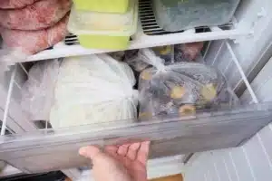 « On m'a pris pour un fou » : ce père de famille congèle des sacs d'eau chaque octobre, et cet expert confirme qu'il a raison