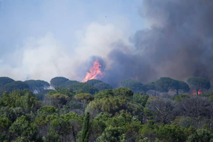canicule-l-impact-financier-de-l-adaptation-climatique-sur-les-contribuable