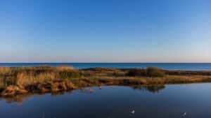 climat-cop17-armenie-biodiversite-enjeux